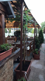 Paradiso Deluxe Garden