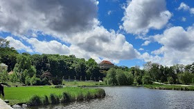 Královská obora Stromovka