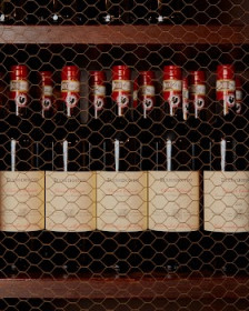 TOP 10 Most Rated bars in Lucca