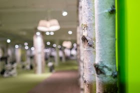 Kuntokeskus Liikku Jyväskylä Seppälä Kuntosali